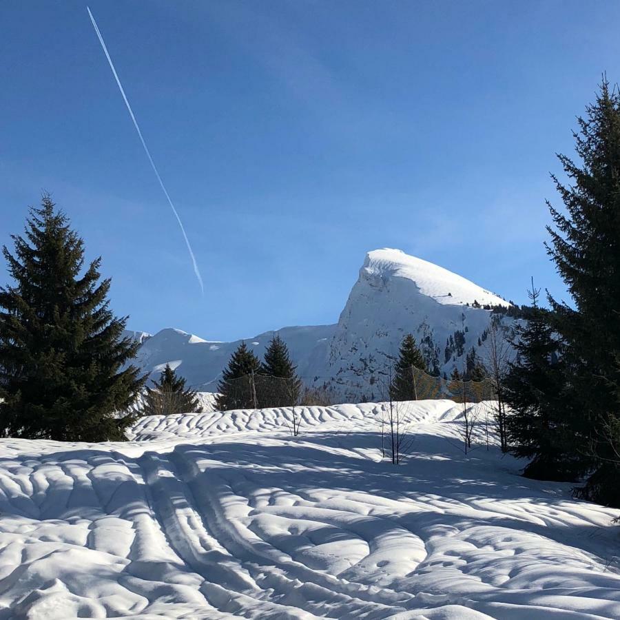 L'Ours Blanc Lodge Le Biot エクステリア 写真
